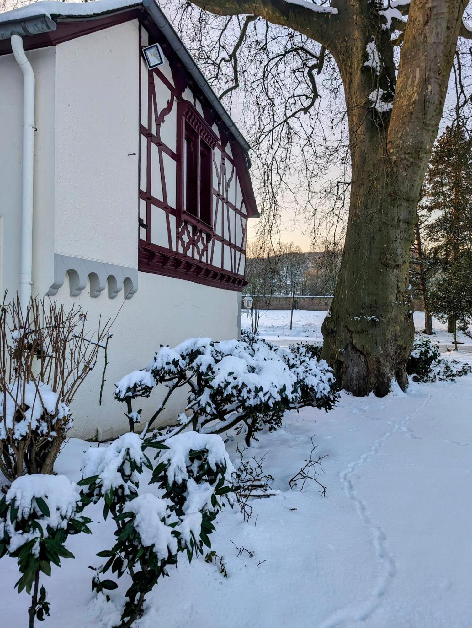 Apartments Am Schloss Rimburg Ubach-Palenberg 外观 照片